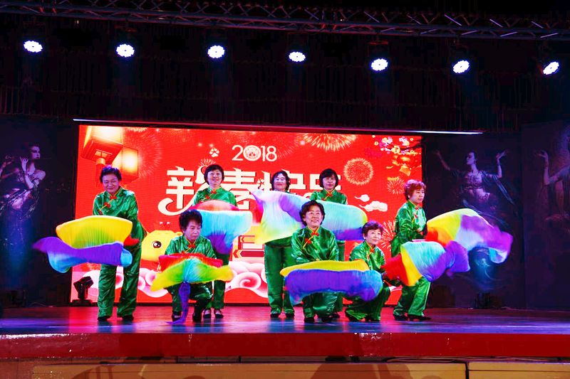 2018缅华妇女协会庆祝国际三八妇女节——联欢晚会演出花絮 （一）