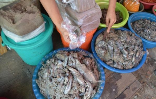 伊洛瓦底省纳不打县区3月份向仰光输送了虾酱8.7万缅斤