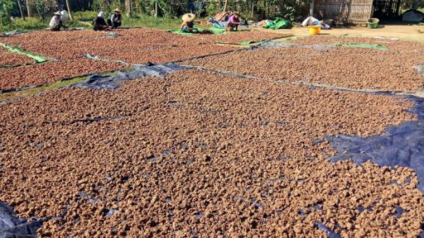 伊洛瓦底省吉叻县区4月份向仰光市场输送了各种鱼酱8.6万缅斤