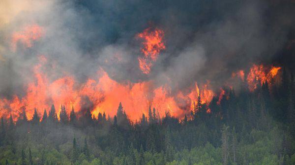 加拿大山林大火来势汹涌地方当局紧急号召民众们撤离