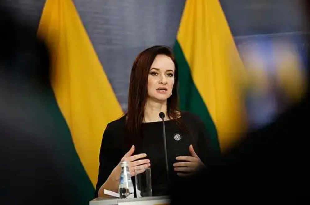 涉台代表处改名？立陶宛总理松口