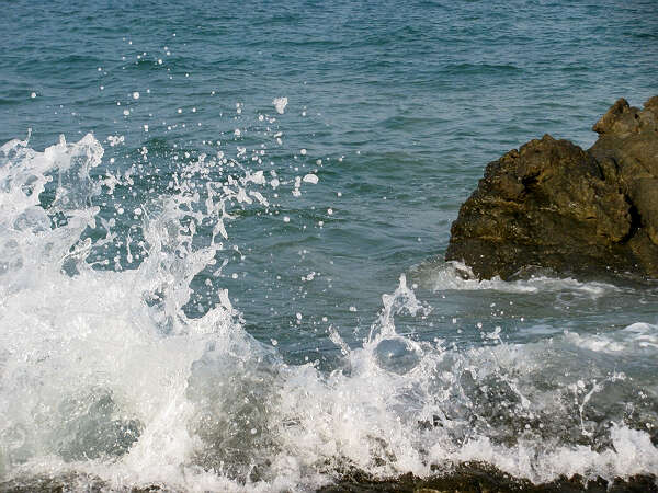 给陈光金同学的一封信（沉雁）