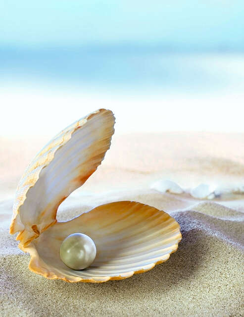 蚌 珍珠（洛杉矶 叶国治 诗二首）