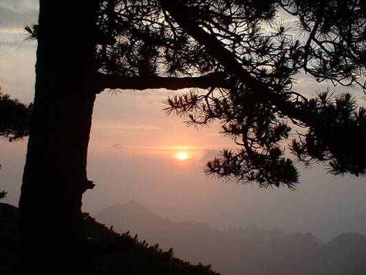 夕阳岁月（洛杉矶 谭月英）