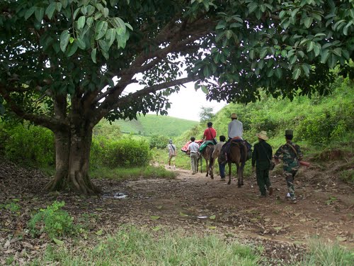 闲话马帮（伍全礼 美国洛杉矶）