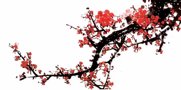 读巴宁（洛杉矶 叶国治）