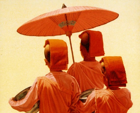 缅甸出家人画 - taunggyi - taunggyi的博客