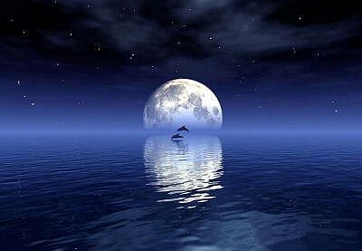 月亮 （洛杉矶 叶国治）