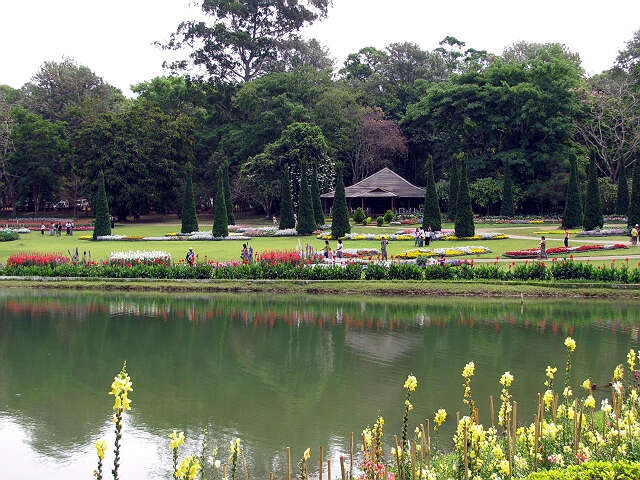 彬吴伦国家植物园（九里香 译自缅甸时报 雅泉摄影）