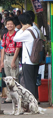 缅甸支教随记(9)校园第一起自杀事件（李强 深圳）