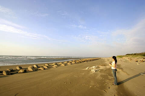 上天下地（段春青）