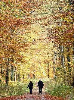 婚礼上的堂叔和堂婶（高景川 推荐）