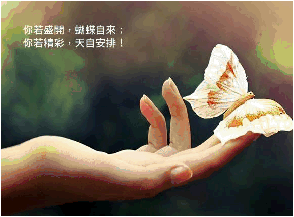 “追求”与“吸引”（龚煜欧推荐）