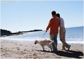 夫妻相处之道(焕然推荐)