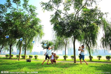 美丽的小树（王雯心 八莫七英里中兴佛经学校）