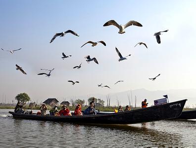 画中乐融融——游茵莱湖（章平 澳门）