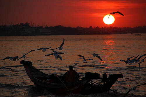 乡情（洛杉矶 谭月英）