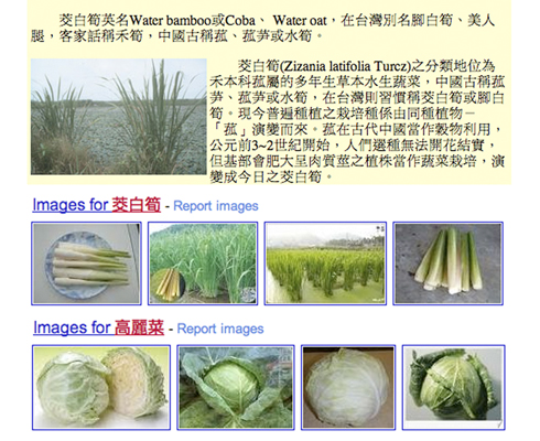 蔬菜界三大抗骨松高手