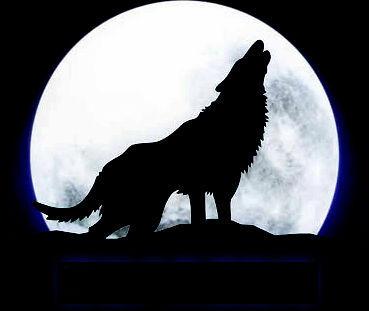 《缘》（作者：转角段春青）