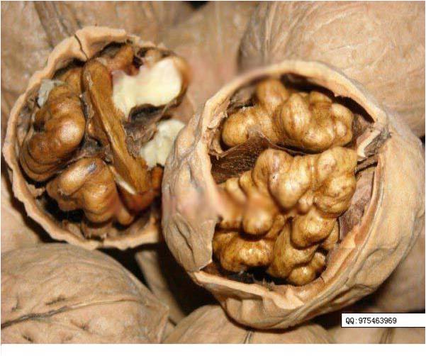 10大坚果食用禁忌