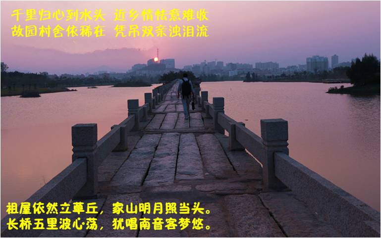 回乡诗草（林枫）