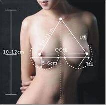 胸部保养的十五大好处