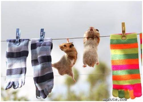 吊单杠的好处（龚煜欧推荐）