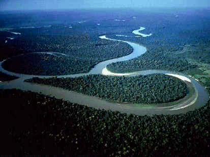 世界第一大河——亚马孙河（（东枝）伊江树）