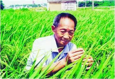 袁隆平真言中国最大的劫难已无法避免！