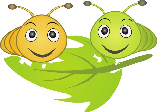 毛毛虫（朱徐佳 洛杉矶）