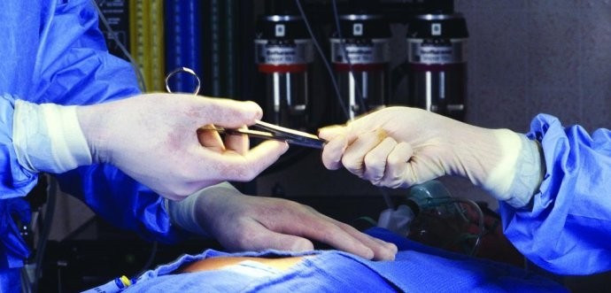 科学家已确认手术、放化疗会导致癌细胞反而加速扩散！