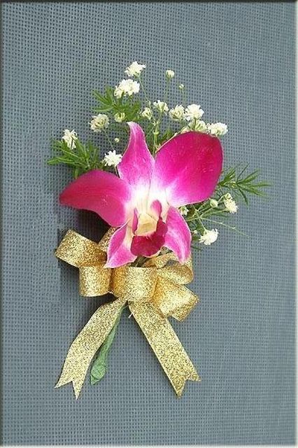 一堂美丽的课 （朱徐佳 洛杉矶）