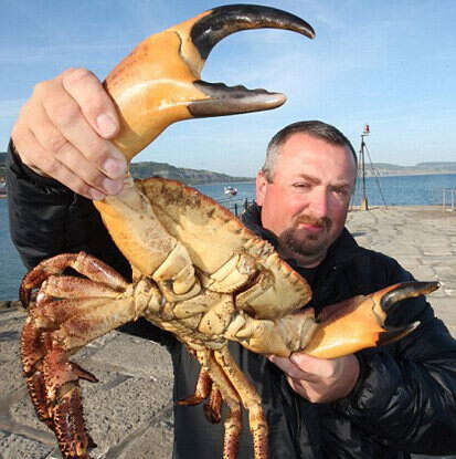 华人买啥啥就贵 加拿大人吃不起海鲜了