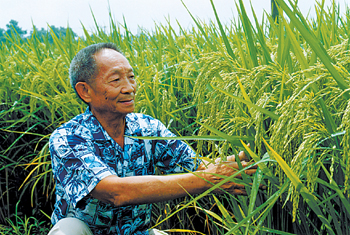 袁隆平：中国杂交水稻技术在国际上有“绝对优势”