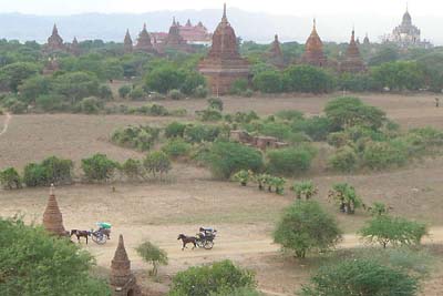 心灵与佛国的对话