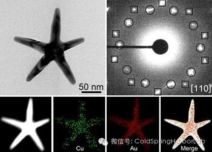中国学者发明“纳米之星” 有望用于肿瘤治疗