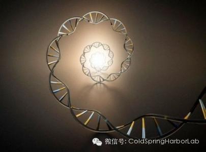 日本科学家研发新技术称数秒即可解析DNA
