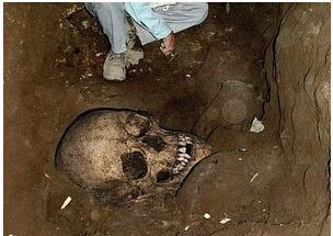 考古发现史前巨人族高达五米