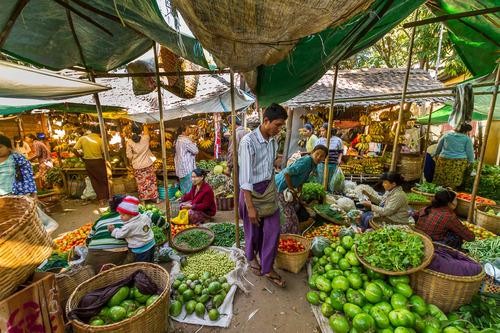 缅甸：前往金色圣地的如画之旅