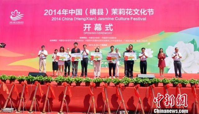 缅甸等东盟官员出席 2014中国（横县）茉莉花文化节开幕式