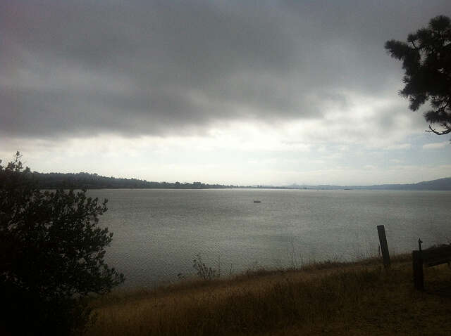 晨钓（天净沙） （丘国政 北加州 ）