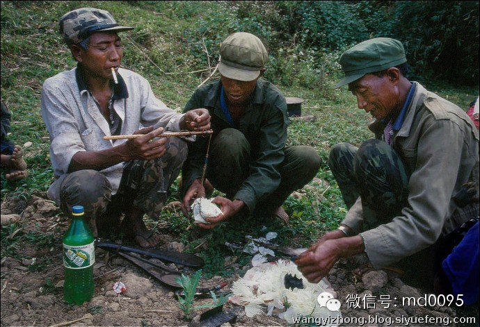 珍贵影像 独闯金三角十年