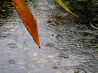 雨声（郑显静 曼德勒明德学校高三班）