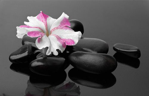 受人欢迎的四句话