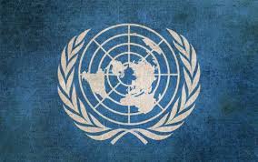 联合国特使杨希利允诺将酙酌人权报告书的用词
