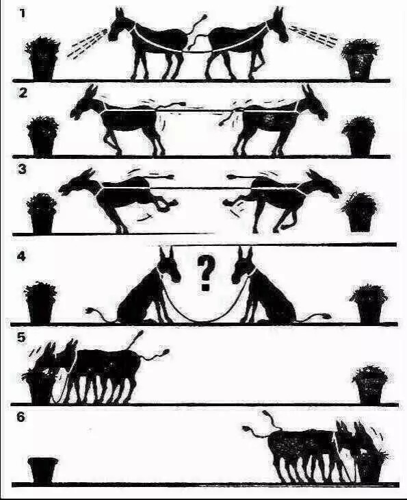 图片：观图请三思！