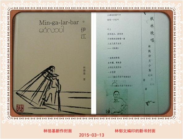 缅甸探亲访友记之 _老少文友喜欢聚 (林枫)