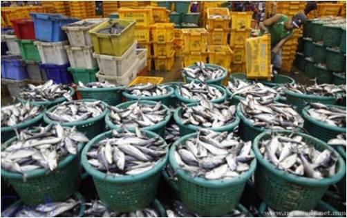 缅甸成立解决物价上涨协调委员会 （旭光