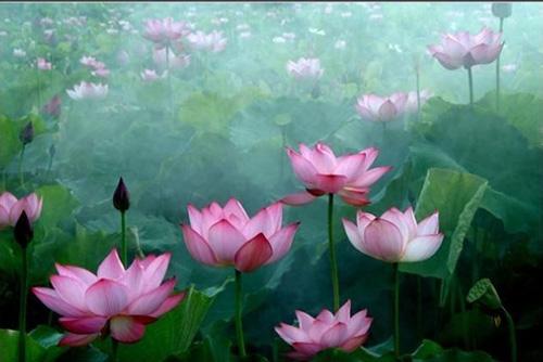 深读 | 星云大师：天下最难得的东西