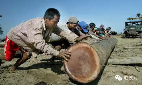 放下你手中的锯子，我的同胞(休柯 胞波网 )